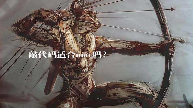 敲代码适合mac吗？