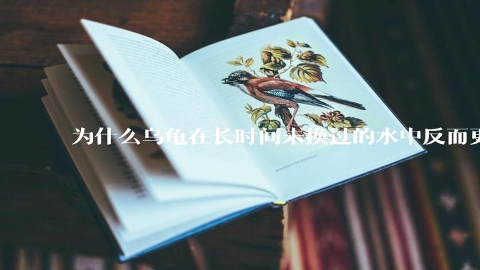 为什么乌龟在长时间未换过的水中反而更活跃？