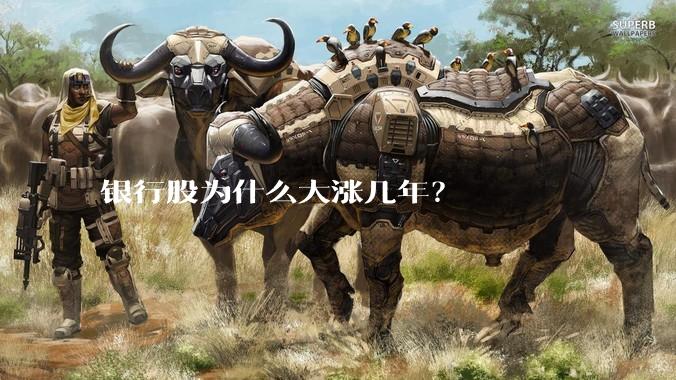 银行股为什么大涨几年？