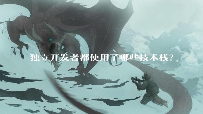 独立开发者都使用了哪些技术栈？