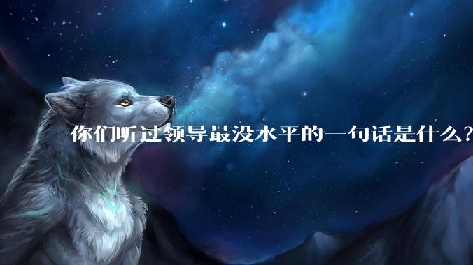 你们听过领导最没水平的一句话是什么？