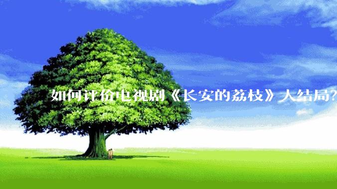 如何评价电视剧《长安的荔枝》大结局？