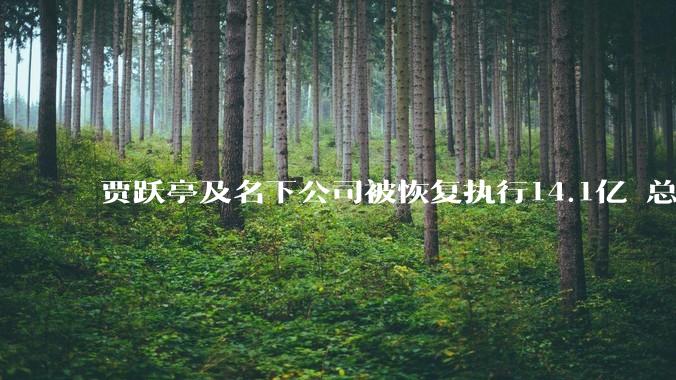 贾跃亭及名下公司被恢复执行14.1亿 总金额超22亿：称继续努力造车为还债救赎_北京_合伙_管理
