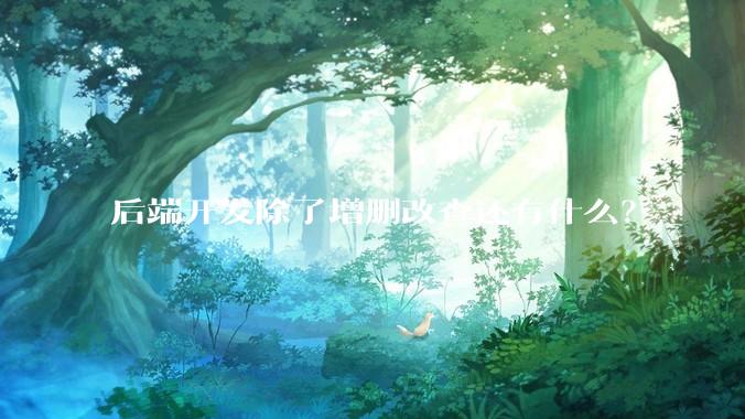 后端开发除了增删改查还有什么？