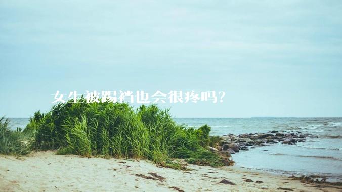 女生被踢裆也会很疼吗？