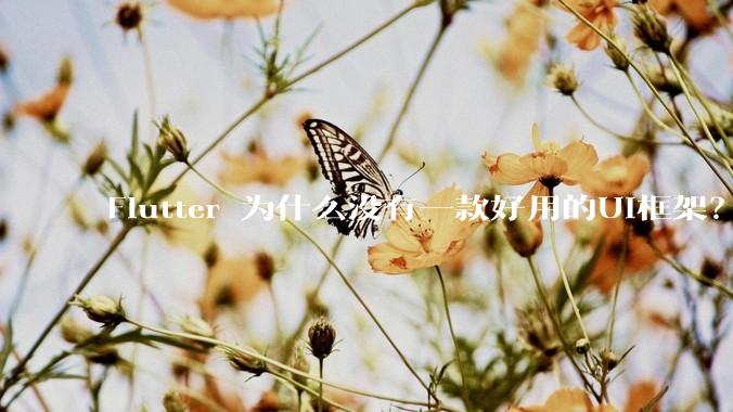 Flutter 为什么没有一款好用的UI框架？