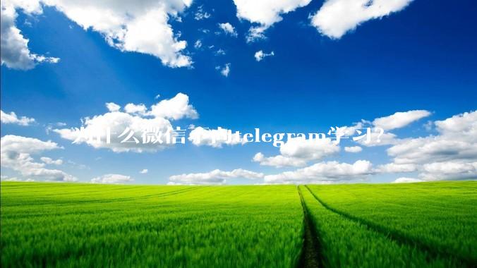 为什么微信不向telegram学习？