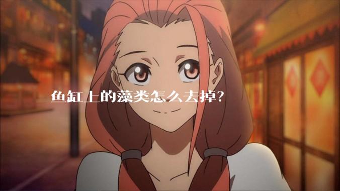 鱼缸上的藻类怎么去掉？