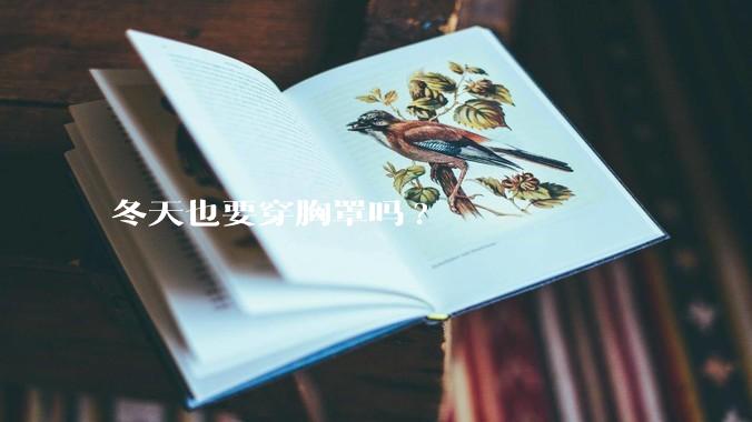 冬天也要穿胸罩吗?