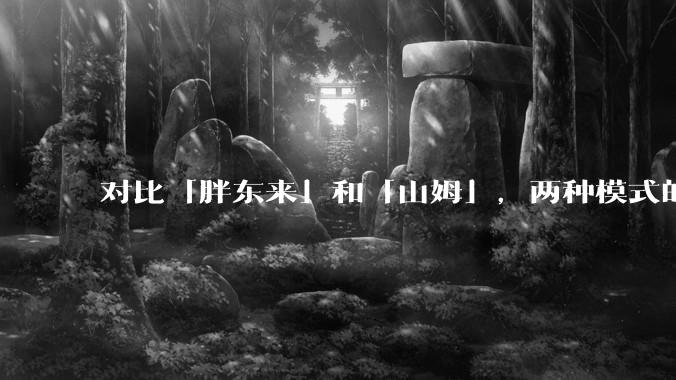 对比「胖东来」和「山姆」，两种模式的区别和优缺点如何？