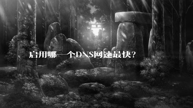 启用哪一个DNS网速最快？
