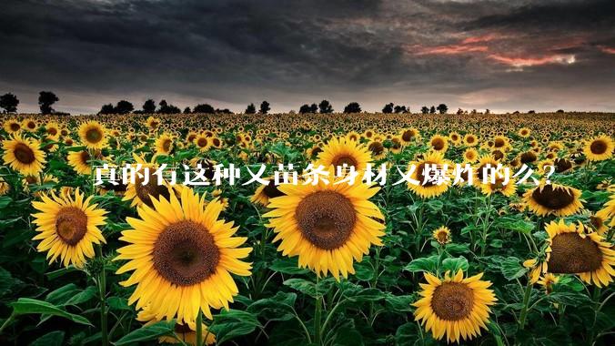 真的有这种又苗条身材又爆炸的么？