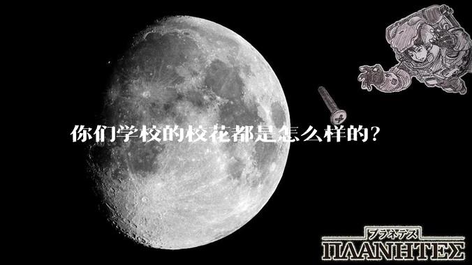 你们学校的校花都是怎么样的？